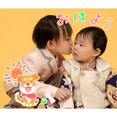 shiro_20260307233010