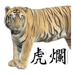 壽山動物好朋友