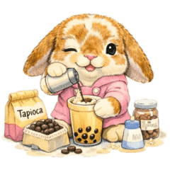 六六寶貝（日常）