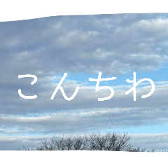 Shizuku_20260307222058