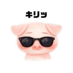 Tomopyon*_20260308004001