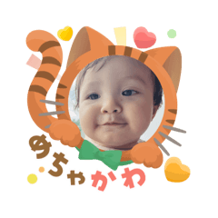 n angie_20260307222954