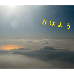 sheep_20260305001023