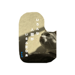 banno_20260308035018