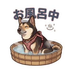 POPOttttti_20260308032842