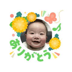 netlow_20260308073847
