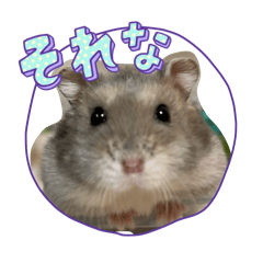 m_m_m_m_m__202603083310