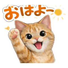 Ginger cat chatora Neko