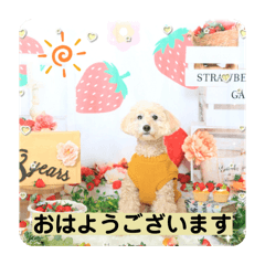 erika shiratori_20260307220028