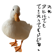 hikarinosenshi_20260307221320