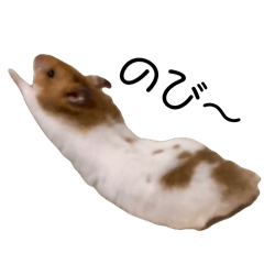 kainushi_20260308001031