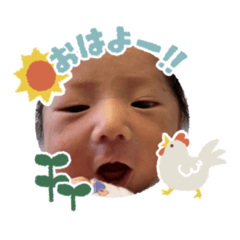 SHOTO_20260308094052