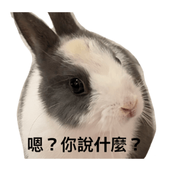 崽崽來惹！