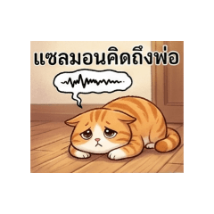 Ponyyim_20260307221453