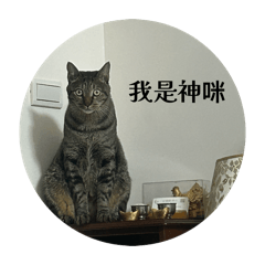 一家人就要整整齊齊才開心