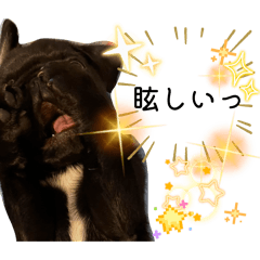 Kiita_20260308011522