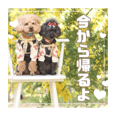 mumumu_20260308005802