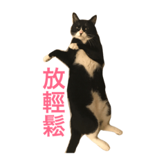mimimimiii