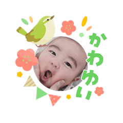 ayaka_20260308051802