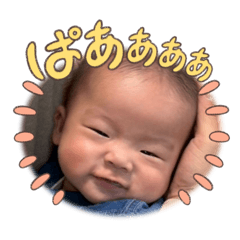 shoooo_20260308051747