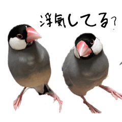 rikathikin_20260308042445