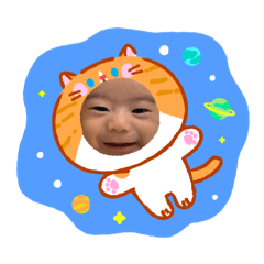 shachi_20260308065029