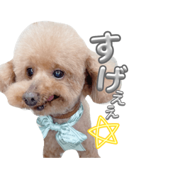 tsuka_20260308090128