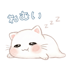 konto_20260308070503