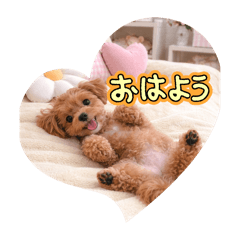 deguko_20260308070436