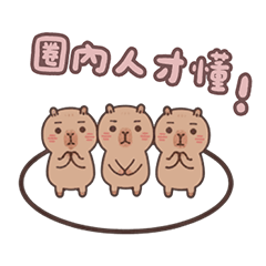 卡皮巴拉 圈內人 日常 搞笑 萬用 粉 貼圖