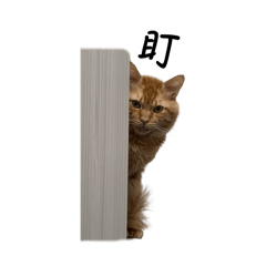 有禮貌的林小蚵