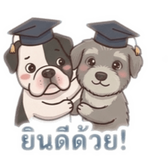 Wilaiwan_20260308095100