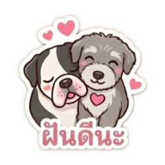 Wilaiwan_20260308101422