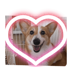 katura_20260305143441