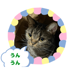 咱们轻松点儿。