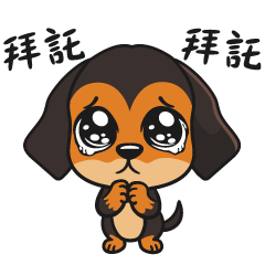 Silly Dachshund QQ-Goofy Daily Life