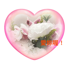 花朵花語