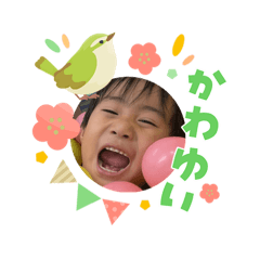 chaku taro