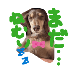 Okazaki_20260305212320