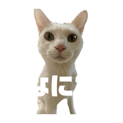 k_20260305233323