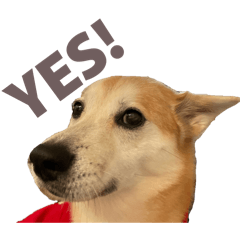 Lily1112_20260306003523