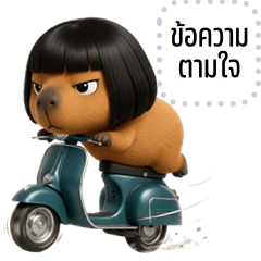 เปลี่ยนข้อความตามใจ: คาปิจอมกวน