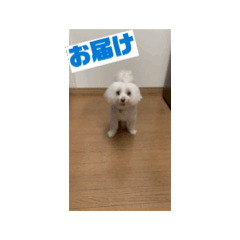 Nazumi_20260308150757