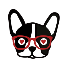 French bulldog with glasses on