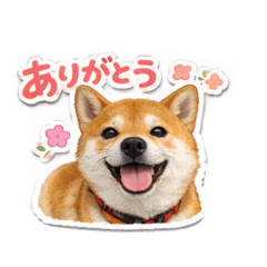runa_202503250708