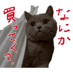 Kelico_20260308164615