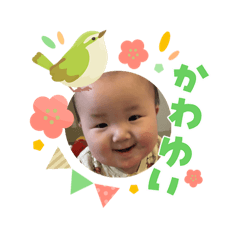 masa_20260308170719