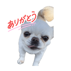 mugi_20260308183529
