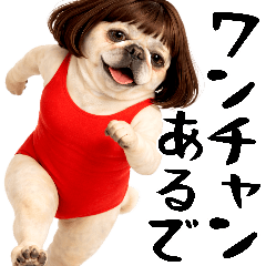 ポジティブパグ(パグおばさんの前向き返信)