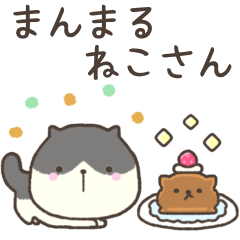 まんまる ねこさん⭐︎ハチワレ